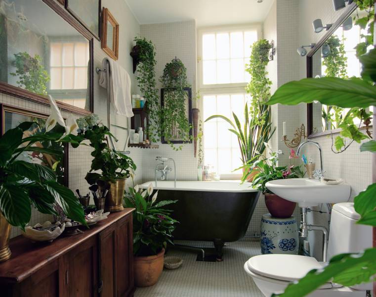 10 Unique Houseplants That Will Make Your Collection Instagram-Worthy