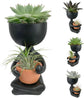 Zen Harmony Planter - Live Plants in a Decorative Pot - Cactus | Succulent | Air Plant - A Symbol of Serenity and Natural Beauty