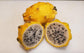 Dragon Fruit Tree - 4 Live Starter Plants - Hylocereous Undatus - Edible Tropical Fruit Plant from Florida