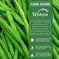 Green Bean Seed Starter Kit - Green Bean Seeds with Tray Liner and Half Quart Vegetable Soil - Grow Your Own Vegetables