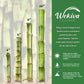 Lucky Indoor Bamboo for Abundance and Prosperity - 8 Live Stalks - Ships Bare Root - Air Purifying Feng-Shui Zen Garden Houseplants