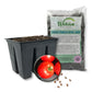 Tomato Seed Starter Kit - Tomato Seeds with Tray Liner and Half Quart Vegetable Soil Mix - Grow Your Own Vegetables