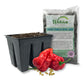 Hot Pepper Seed Starter Kit - Pepper Seeds with Liner Tray and Half Quart Vegetable Soil Mix - Grow Your Own Vegtables