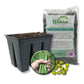 Green Bean Seed Starter Kit - Green Bean Seeds with Tray Liner and Half Quart Vegetable Soil - Grow Your Own Vegetables