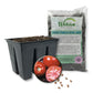 Tomato Seed Starter Kit - Tomato Seeds with Tray Liner and Half Quart Vegetable Soil Mix - Grow Your Own Vegetables