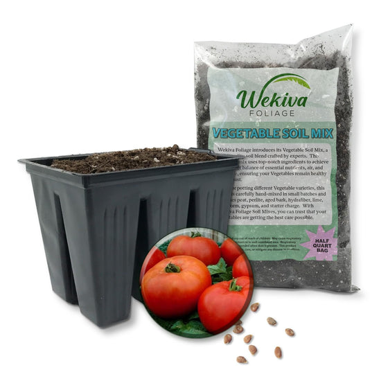 Tomato Seed Starter Kit - Tomato Seeds with Tray Liner and Half Quart Vegetable Soil Mix - Grow Your Own Vegetables