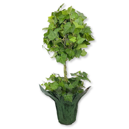 English Ivy Globe in Festive Holiday Cover - Live Plant in a 4 Inch Pot - Hedera Helix - Florist Quality - Beautiful Easy Care Indoor Air Purifying Topiary Houseplant Vine