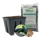 Cucumber Seed Starter Kit - Cucumber Seeds and Tray Liner with Half Quart Vegetable Soil Mix - Grow Your Own Vegetables