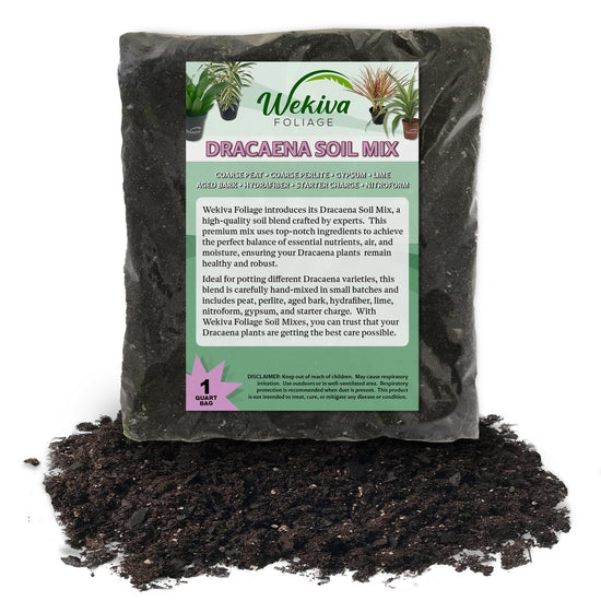 Dracaena Growing Soil Mix – Custom Soil Blend – Potting Mix for Dracaena Plants – Specially Developed by and for Professional Nursery Growers - Nutrient-Rich Formula