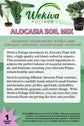 Alocasia Growing Soil Mix – Custom Soil Blend – Potting Mix for Alocasia Plants – Specially Developed by and for Professional Nursery Growers - Nutrient-Rich Formula