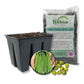 Green Bean Seed Starter Kit - Green Bean Seeds with Tray Liner and Half Quart Vegetable Soil - Grow Your Own Vegetables