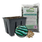 Cucumber Seed Starter Kit - Cucumber Seeds and Tray Liner with Half Quart Vegetable Soil Mix - Grow Your Own Vegetables