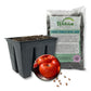 Tomato Seed Starter Kit - Tomato Seeds with Tray Liner and Half Quart Vegetable Soil Mix - Grow Your Own Vegetables