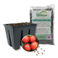 Tomato Seed Starter Kit - Tomato Seeds with Tray Liner and Half Quart Vegetable Soil Mix - Grow Your Own Vegetables