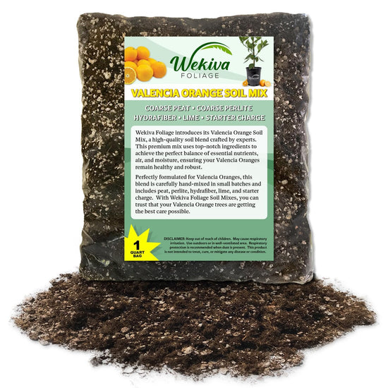 Valencia Orange Tree Growing Soil Mix – Custom Soil Blend – Potting Mix for Valencia Orange Trees – Specially Developed by and for Professional Nursery Growers - Nutrient-Rich Formula