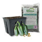 Hot Pepper Seed Starter Kit - Pepper Seeds with Liner Tray and Half Quart Vegetable Soil Mix - Grow Your Own Vegtables