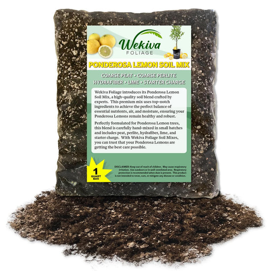 Ponderosa Lemon Tree Growing Soil Mix – Custom Soil Blend – Potting Mix for Ponderosa Lemon Trees – Specially Developed by and for Professional Nursery Growers - Nutrient-Rich Formula