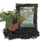 Philodendron Micans and Soil Mix Combo - Live Plant in a 4 Inch Pot with 1 Quart HousePlant Soil Mix - Philodendron &