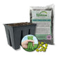 Green Bean Seed Starter Kit - Green Bean Seeds with Tray Liner and Half Quart Vegetable Soil - Grow Your Own Vegetables