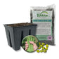 Green Bean Seed Starter Kit - Green Bean Seeds with Tray Liner and Half Quart Vegetable Soil - Grow Your Own Vegetables