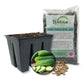 Cucumber Seed Starter Kit - Cucumber Seeds and Tray Liner with Half Quart Vegetable Soil Mix - Grow Your Own Vegetables