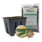 Cucumber Seed Starter Kit - Cucumber Seeds and Tray Liner with Half Quart Vegetable Soil Mix - Grow Your Own Vegetables