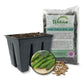 Cucumber Seed Starter Kit - Cucumber Seeds and Tray Liner with Half Quart Vegetable Soil Mix - Grow Your Own Vegetables