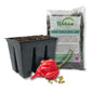 Hot Pepper Seed Starter Kit - Pepper Seeds with Liner Tray and Half Quart Vegetable Soil Mix - Grow Your Own Vegtables