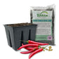 Hot Pepper Seed Starter Kit - Pepper Seeds with Liner Tray and Half Quart Vegetable Soil Mix - Grow Your Own Vegtables