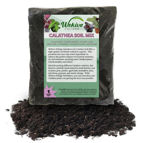 Calathea Growing Soil Mix – Custom Soil Blend – Potting Mix for Calathea Plants – Specially Developed by and for Professional Nursery Growers - Nutrient-Rich Formula