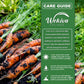 Carrot Starter Seed Kit - Carrot Seeds with Tray Liner and Half Quart Vegetable Soil Mix - Grow Your Own Vegetables