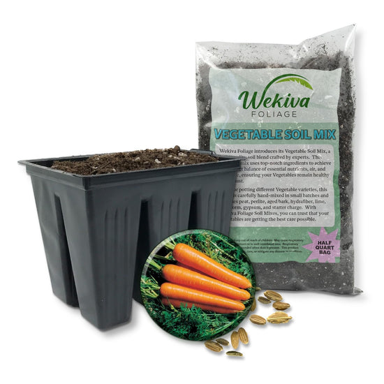 Carrot Starter Seed Kit - Carrot Seeds with Tray Liner and Half Quart Vegetable Soil Mix - Grow Your Own Vegetables