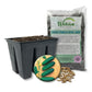 Cucumber Seed Starter Kit - Cucumber Seeds and Tray Liner with Half Quart Vegetable Soil Mix - Grow Your Own Vegetables