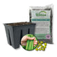 Green Bean Seed Starter Kit - Green Bean Seeds with Tray Liner and Half Quart Vegetable Soil - Grow Your Own Vegetables