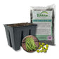 Green Bean Seed Starter Kit - Green Bean Seeds with Tray Liner and Half Quart Vegetable Soil - Grow Your Own Vegetables