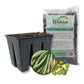 Green Bean Seed Starter Kit - Green Bean Seeds with Tray Liner and Half Quart Vegetable Soil - Grow Your Own Vegetables