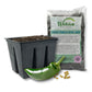 Hot Pepper Seed Starter Kit - Pepper Seeds with Liner Tray and Half Quart Vegetable Soil Mix - Grow Your Own Vegtables