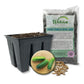 Cucumber Seed Starter Kit - Cucumber Seeds and Tray Liner with Half Quart Vegetable Soil Mix - Grow Your Own Vegetables