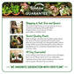 Rose Bush Variety Pack - Live Starter Plants in 2 Inch Pots - Grower&
