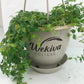 Enchanting String of Frogs Hanging Basket - Live Plant in a 4.5 Inch Hanging Nursery Pot - Ficus Pumila - Nature&